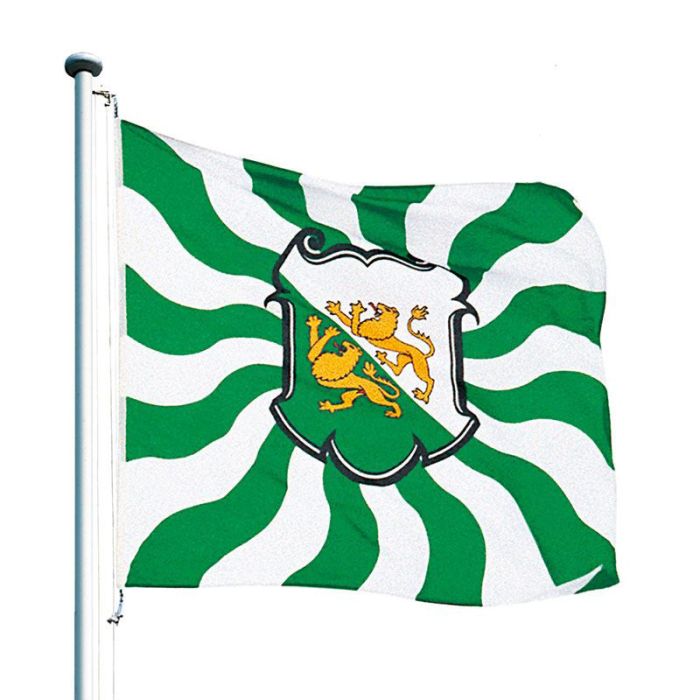 Schweiz Kanton Thurgau Banner Thurgauer Fahnen Flaggen 30x30cm 