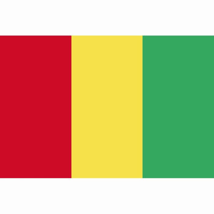 Drapeau national Guinée