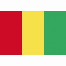 Länderfahne Guinea