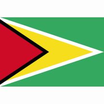 Länderfahne Frankreich Guyana
