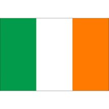 Länderfahne Irland Polyester 100x70 cm