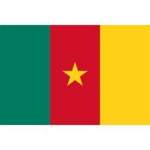 Länderfahne Kamerun