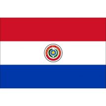 Länderfahne Paraguay