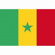 Länderfahne Senegal