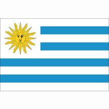 Länderfahne Uruguay Polyester 100x70 cm