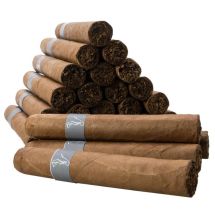 Felador Cigarren Felador «Picadura» 25er-Set