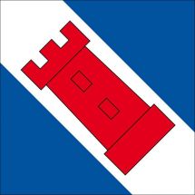 Gemeindefahne 3856 Brienzwiler Superflag® 100x100 cm