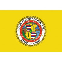 Fahne Honolulu City USA