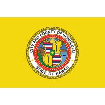 Fahne Honolulu City USA