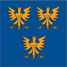 Gemeindefahne 3977 Granges VS, altes Wappen Polyester 200x200 cm