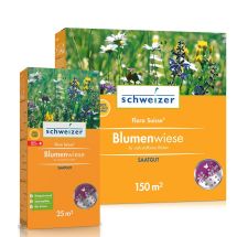 Blumenwiese «Flora Suisse»
