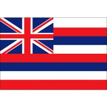 Fahne Bundesstaat Hawaii USA
