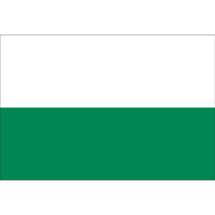 Fahne Bundesland Sachsen Deutschland