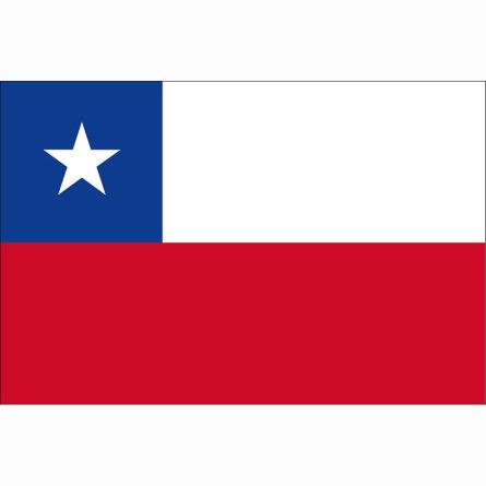 Länderfahne Chile Superflag® 225x150 cm
