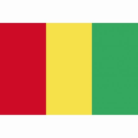 Länderfahne Guinea
