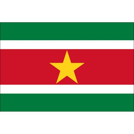 Länderfahne Suriname