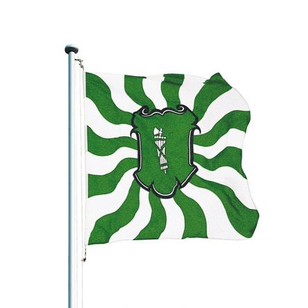 Gallen Hissflagge St Schweiz Kanton St Gallener Fahnen Flaggen 150x150cm 