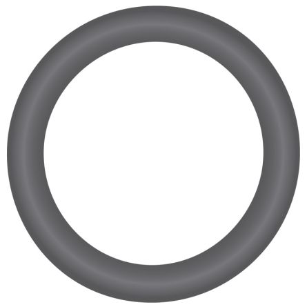 Flaggengewicht O-Ring 1000 g