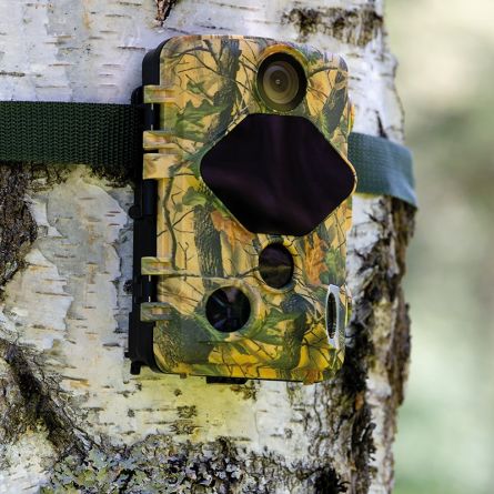 Caméra de surveillance des jardins et de la faune