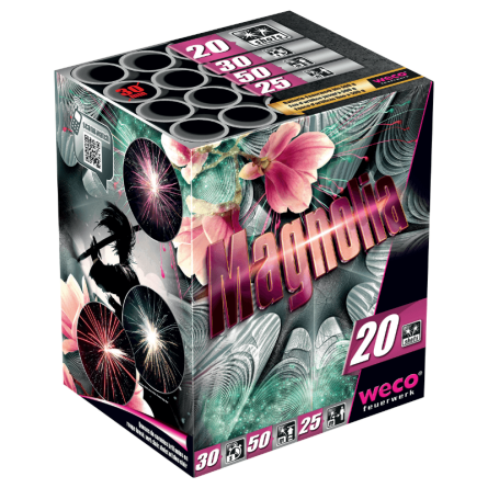 Batterie «Magnolia», 20 tirs