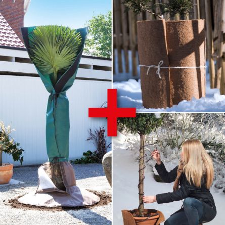 Promotion de protection des palmiers et des racines, tapis d'hivernage «X-Treme» et câble chauffant incl.
