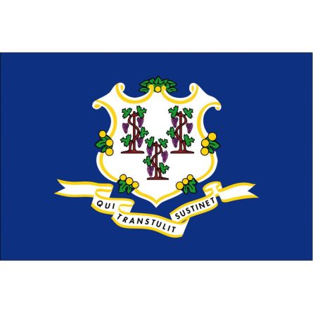 Fahne Bundesstaat Connecticut USA