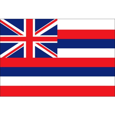 Fahne Bundesstaat Hawaii USA