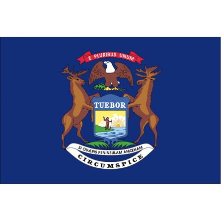 Fahne Bundesstaat Michigan USA