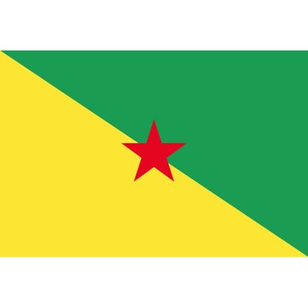 Fahne Region Guyane Frankreich