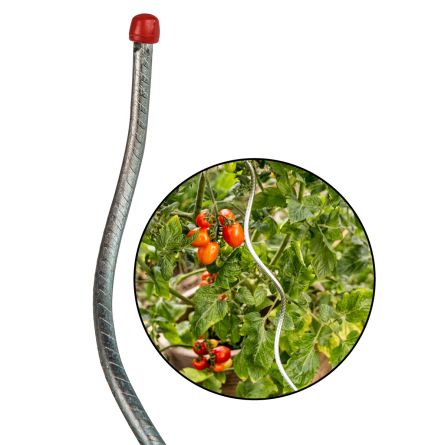 Barre de tomate en spirale «Acier galvanisé», perçage incl.