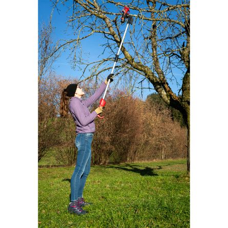 Rallonge ciseaux pour jardin et arbre «Accu», 239194
