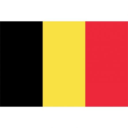 Drapeau bateau Belgique Superflag® 20x30 cm