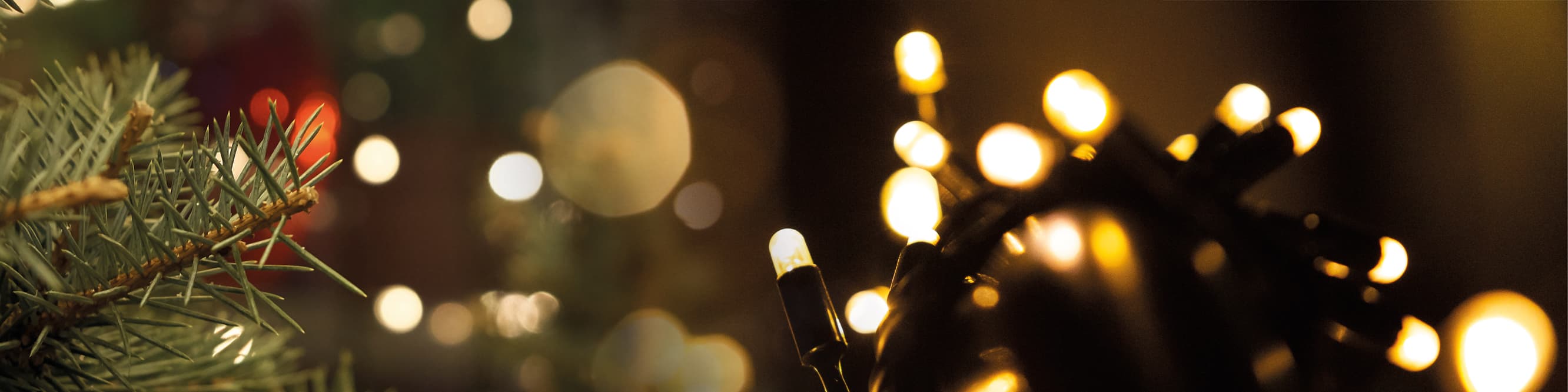 Luminaires de Noël solaires - Éclairage de Noël - Do it & Jardin